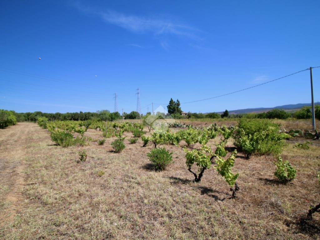 Terreno agricolo strada vicinale di su stracoxiu, selargius