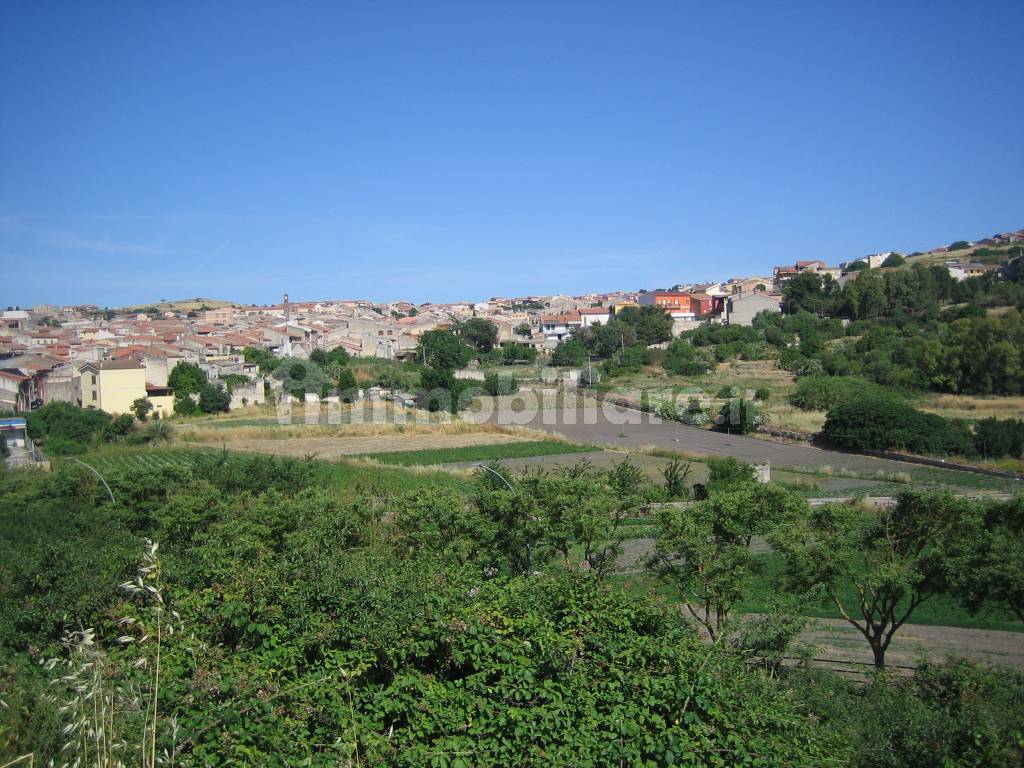 panorama