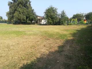 Zona