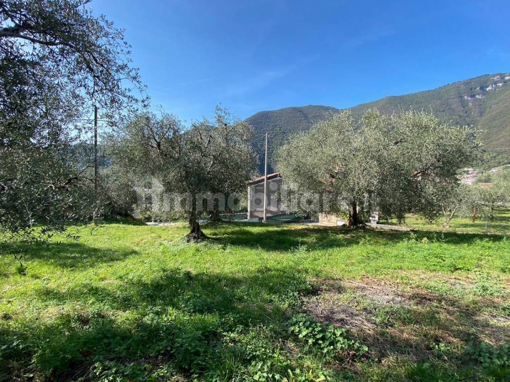 1280-s-088-casa-e-terreno-casa-indipendente-pove-del-grappa-b424d.png