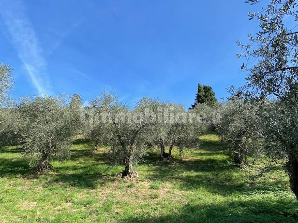 1280-s-088-casa-e-terreno-casa-indipendente-pove-del-grappa-f9b9b.png