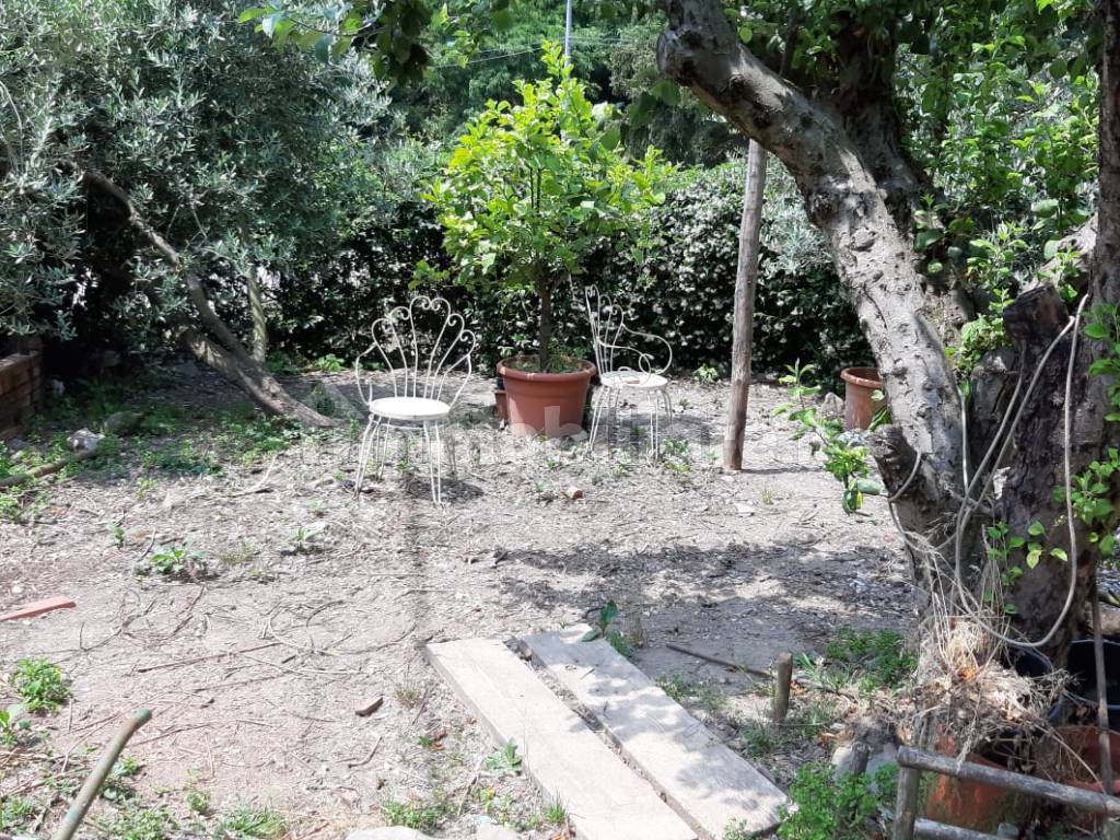 Porzione del giardino