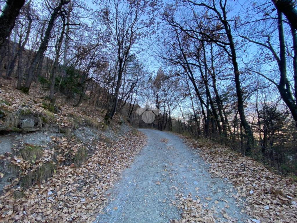 strada poderale