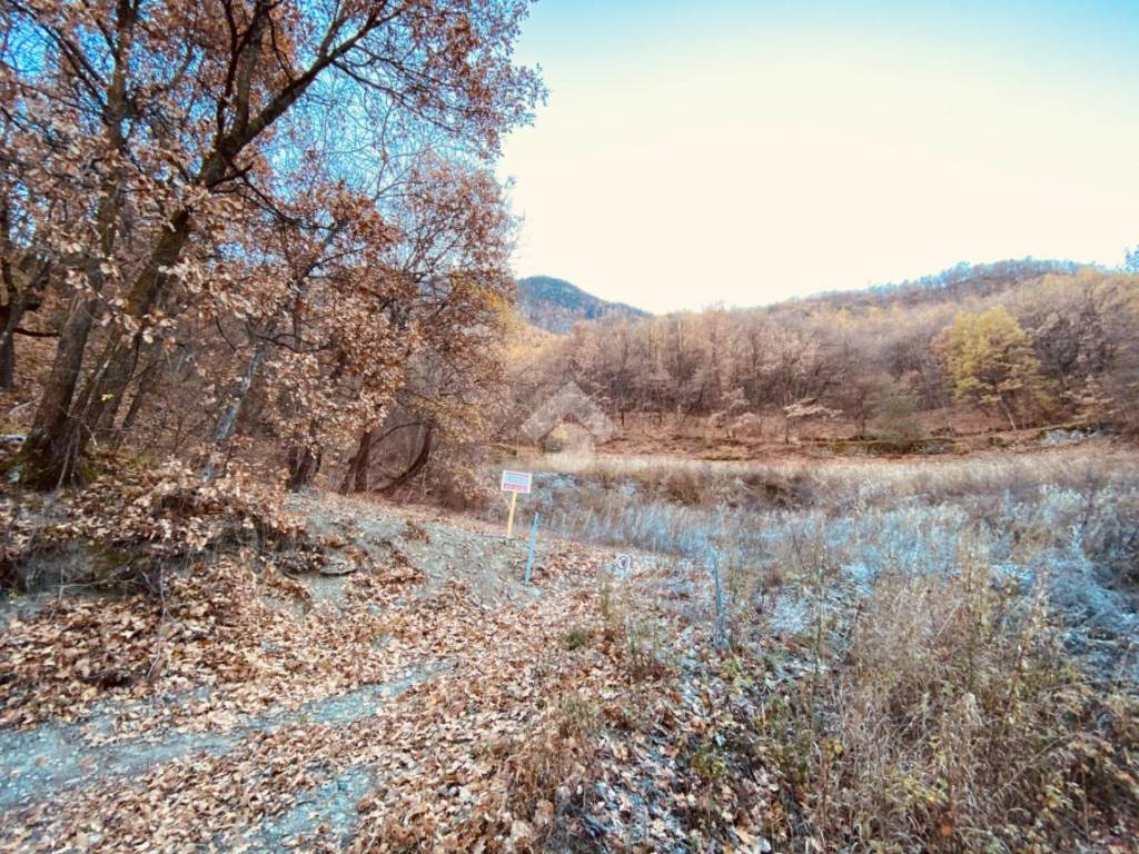 Terreno agricolo