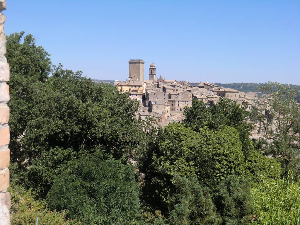 Vista dal terrazzo