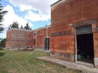 Vendesi a Copertino casa con terreno agricolo