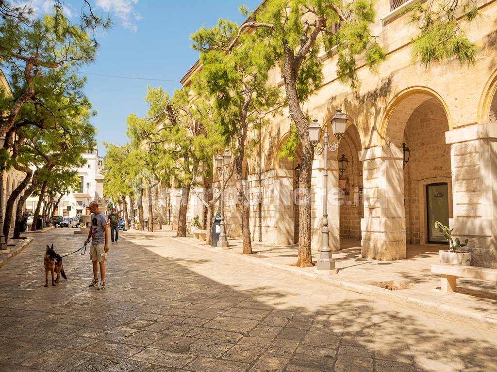 OSTUNI ALTO SALENTO PUGLIA ATTIVITA' COMMERCIALE