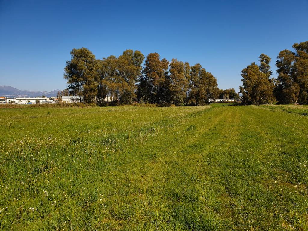 Terreno agricolo strada provinciale piccarello, latina scalo, latina