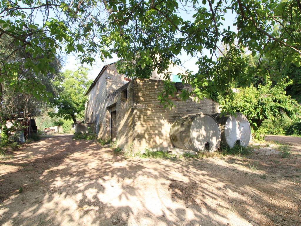 Foto 10