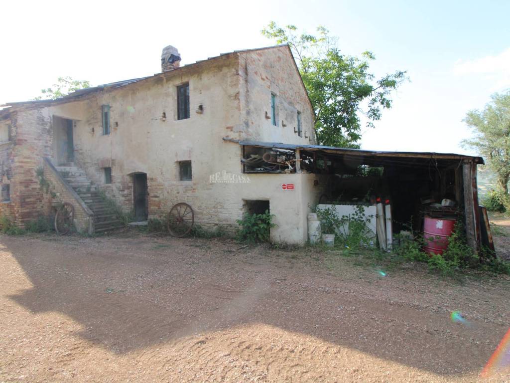 Foto 19