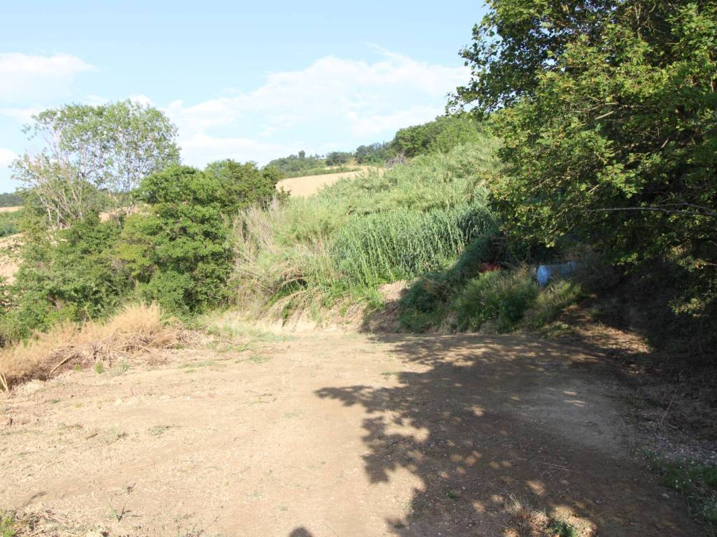 Foto 21