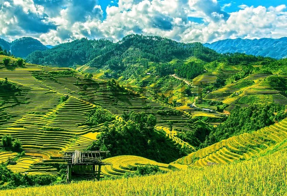 000  rice terraces 164622 960 720