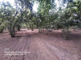 WhatsApp Image 2022-06-29 at 09.40.37 (1)