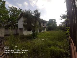 WhatsApp Image 2022-06-29 at 09.40.33