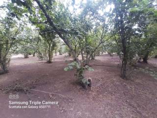 WhatsApp Image 2022-06-29 at 09.47.47 (1)