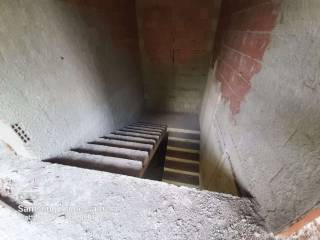 WhatsApp Image 2022-06-29 at 09.40.29