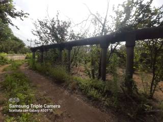 WhatsApp Image 2022-06-29 at 09.47.41