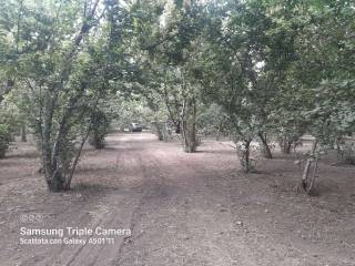 WhatsApp Image 2022-06-29 at 09.40.38