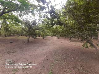 WhatsApp Image 2022-06-29 at 09.40.35 (1)