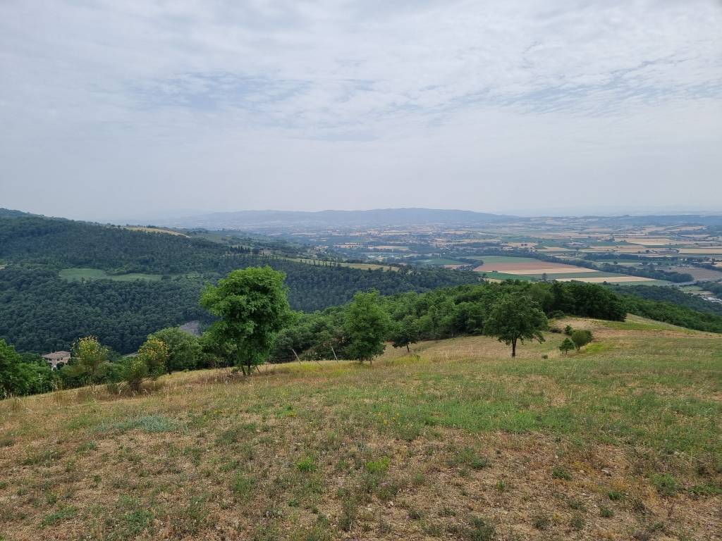Terreno agricolo strada podere caprareccia, pianello, perugia