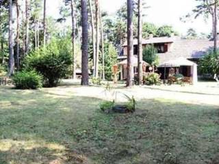 79932a7f44c9dd92f5c3265b762e03ff