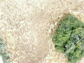 VENDESI TERRENO EDIFICABILE ALANNO PESCARA ABRUZZO