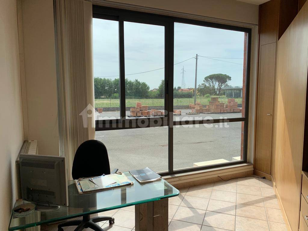 fronte