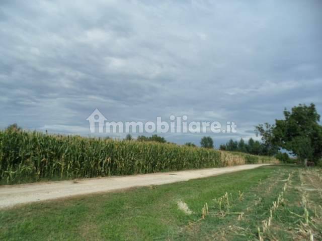 999__004__terreno-agricolo-in-vendita-caldogno-850-m___foto-1_medium.jpg