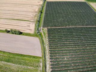 023  dji 0660