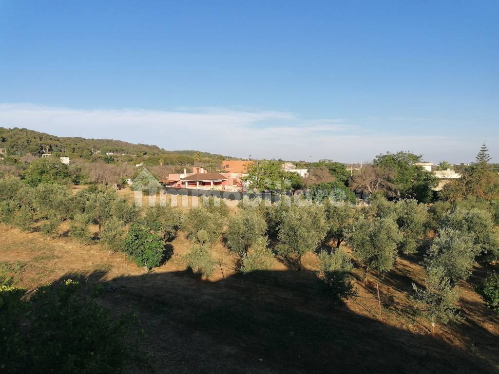 vista esterna