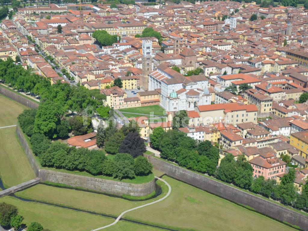 lucca 6