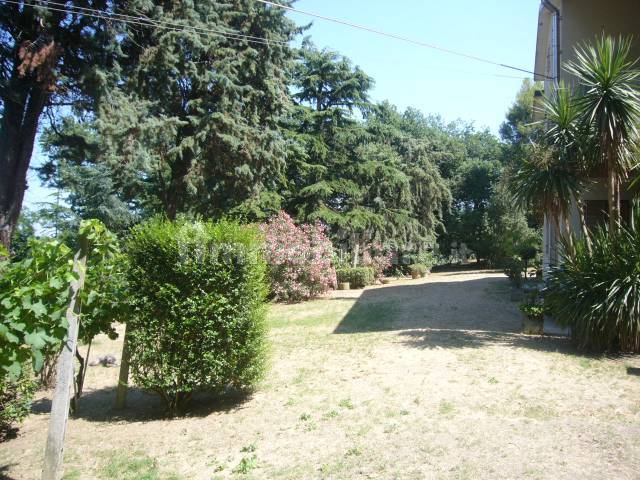 giardino