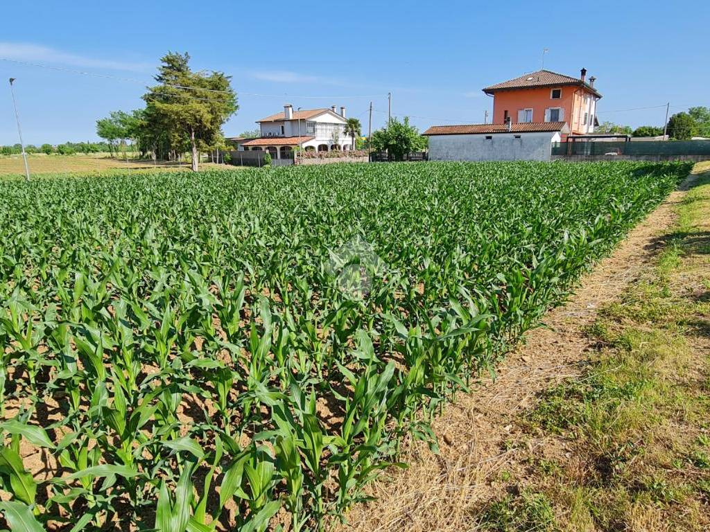 Terreno edificabile via giuseppe garibaldi 14, centro, castions di strada