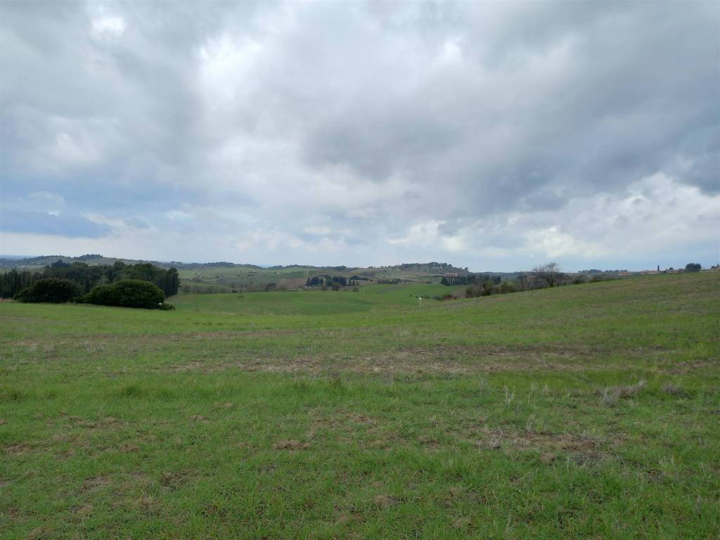 Terreno agricolo, casale marittimo