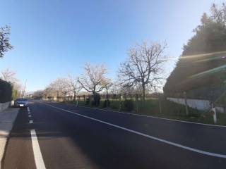 IMG-20201214-WA0027