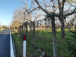 IMG-20201214-WA0031