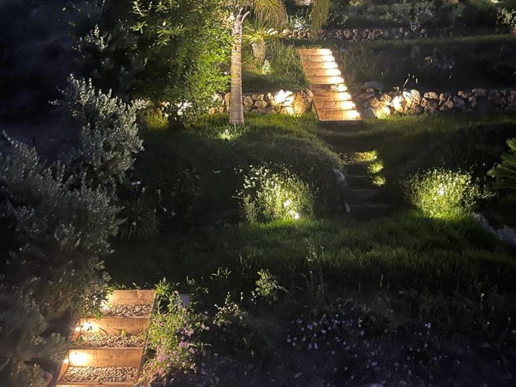 Vista notturna e illuminata del giardino