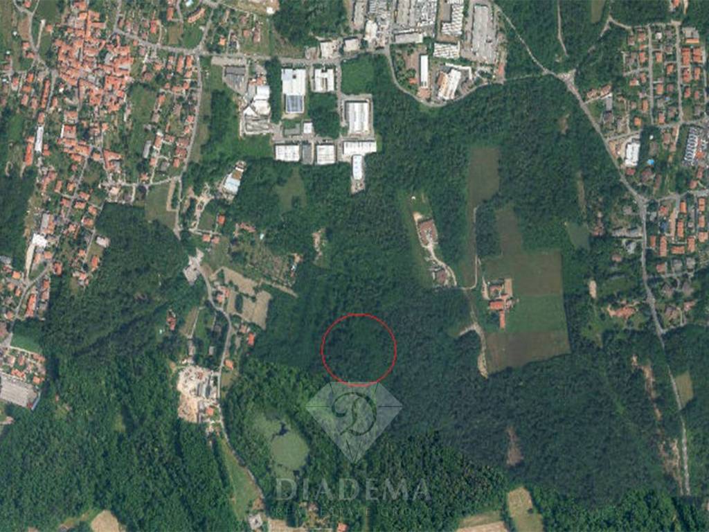 Foto satellitare bosco