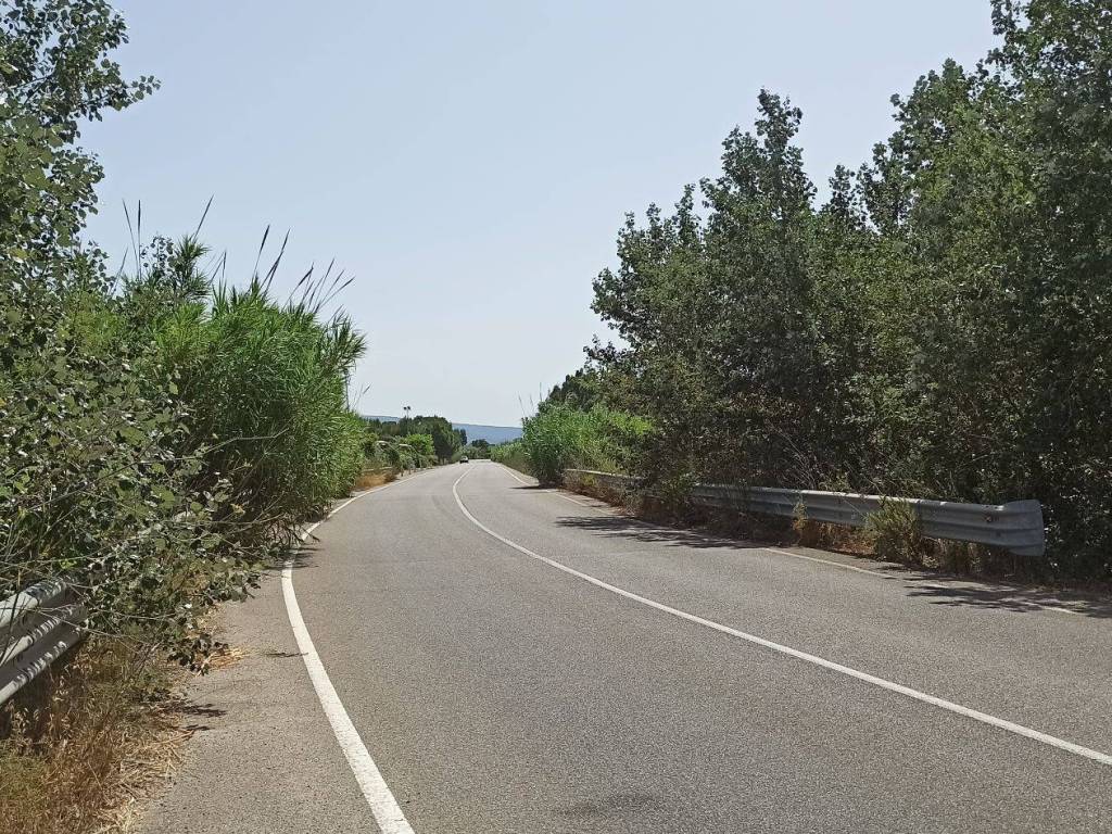 Terreno agricolo strada provinciale di terralba, terralba