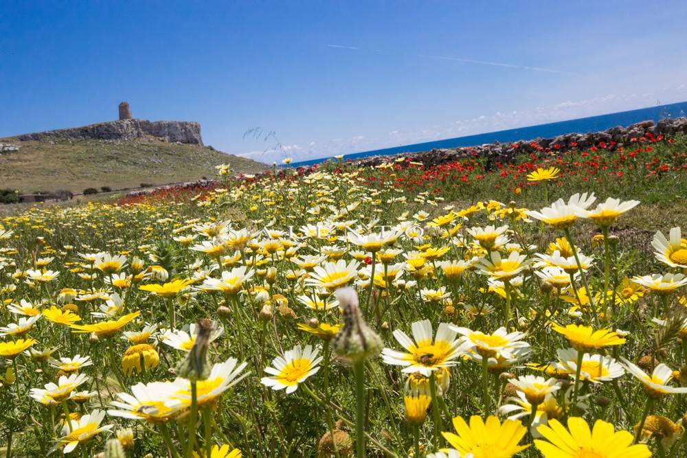 Santa Cesarea Terme