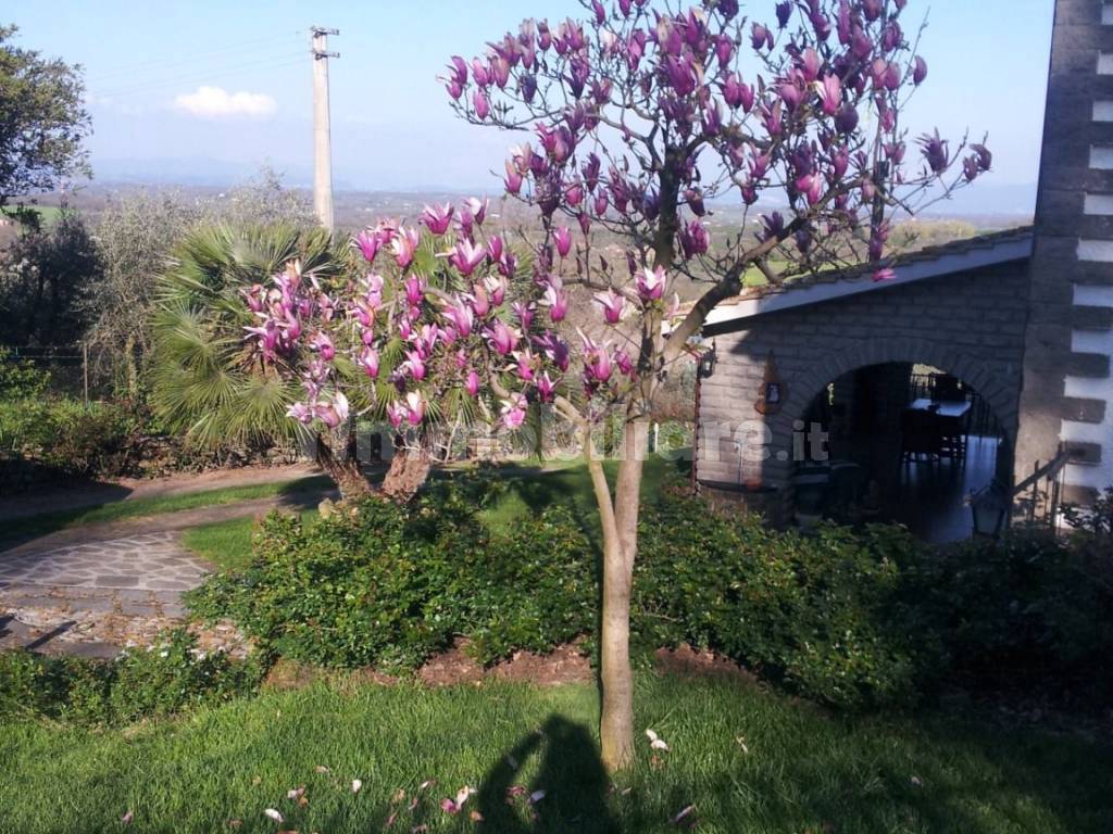 il giardino