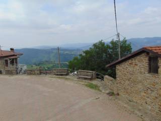 Dettagli