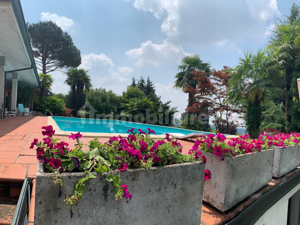 fiori e piscina