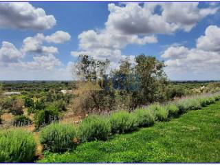 LUXURY PROPERTY FOR SALE OSTUNI ALTO SALENTO