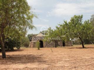 Trullo 2