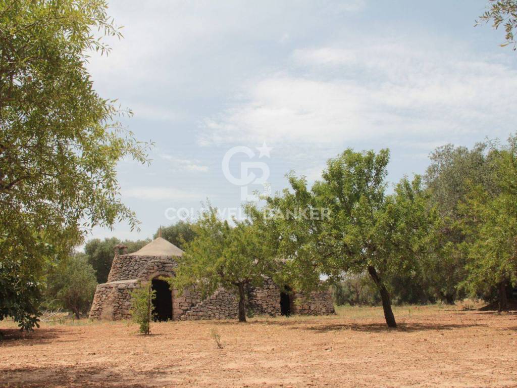 Trullo 5