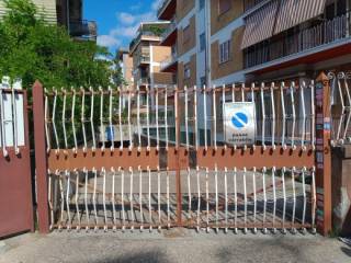 Zona