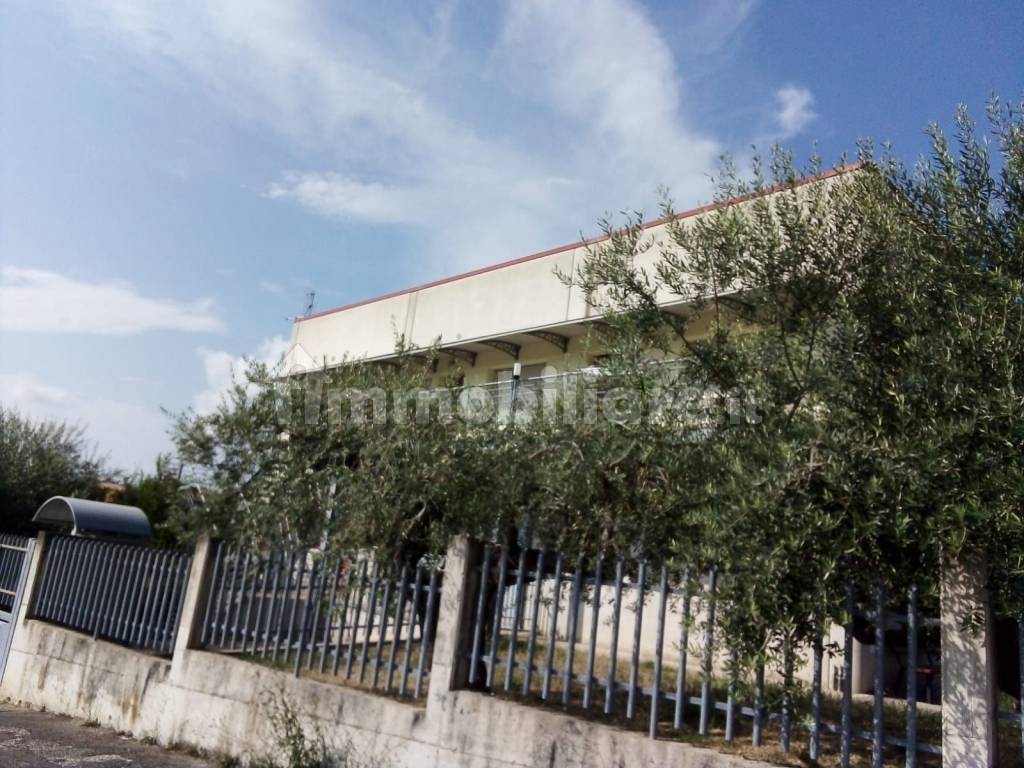 uso ufficio in affitto a città sant'angelo