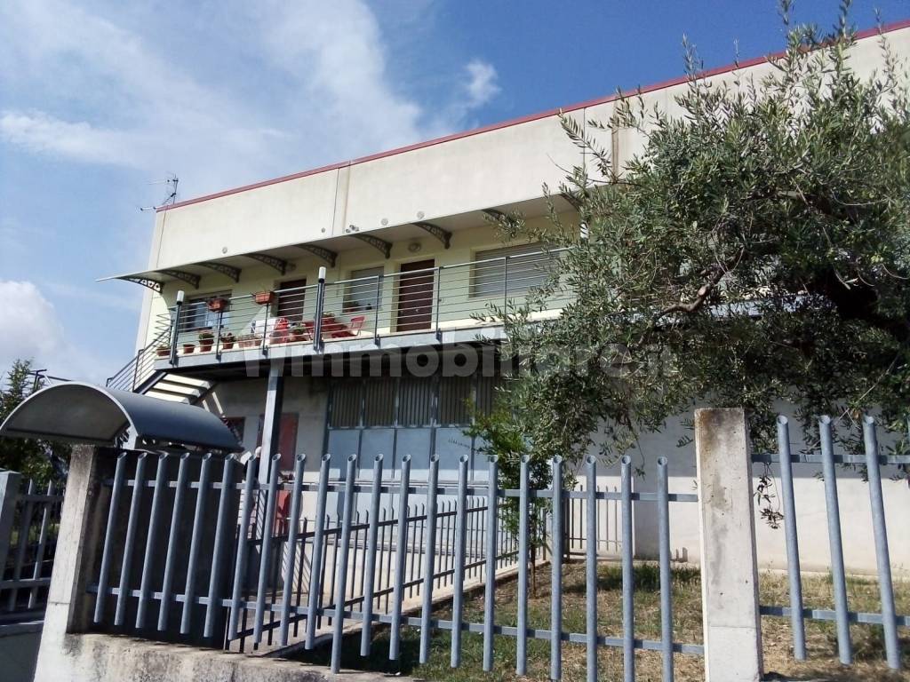 uso ufficio in affitto a città sant'angelo