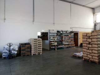 città sant'angelo capannoni in affitto